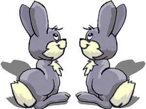lapin
